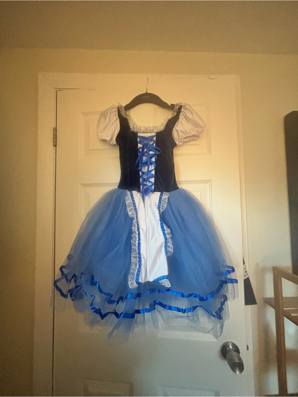 Revolution Blue and White Tulle Fairy Costume Dress